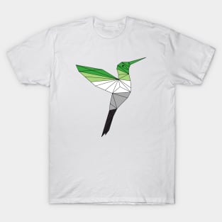 Aromantic Hummingbird T-Shirt